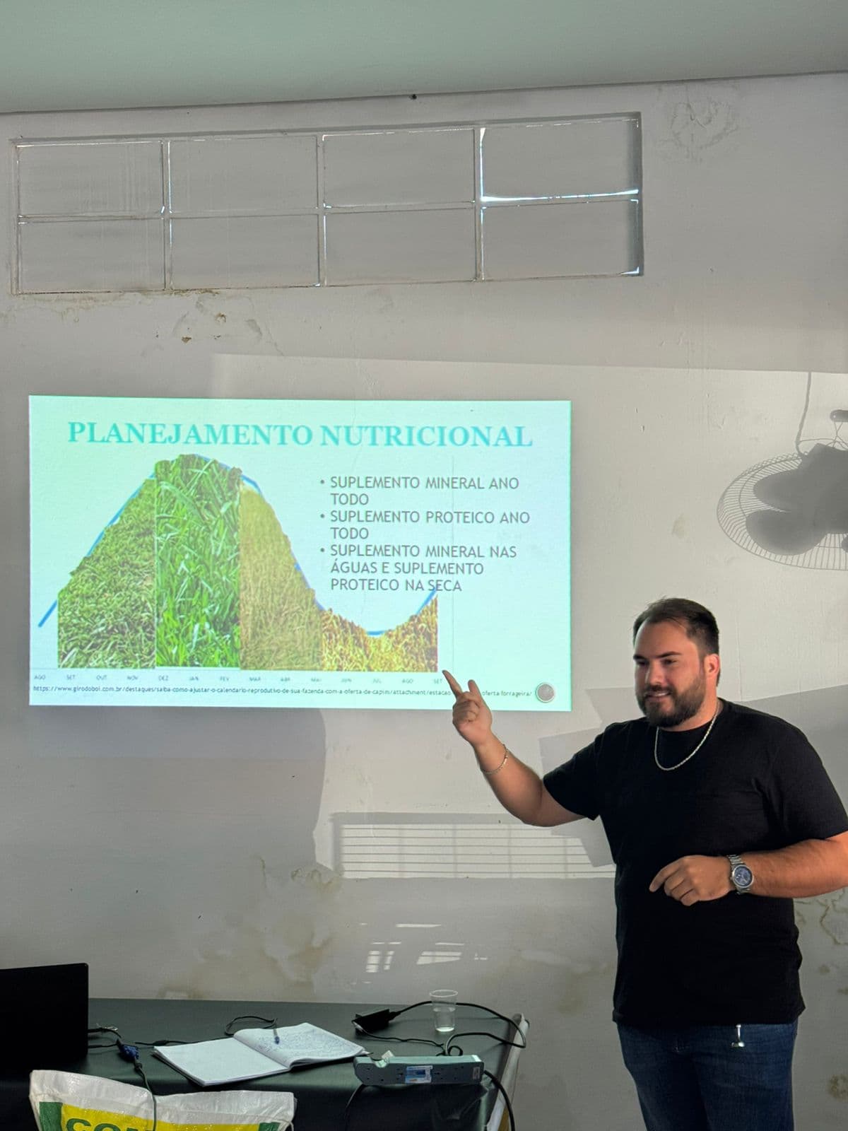 Consultoria em ação 3